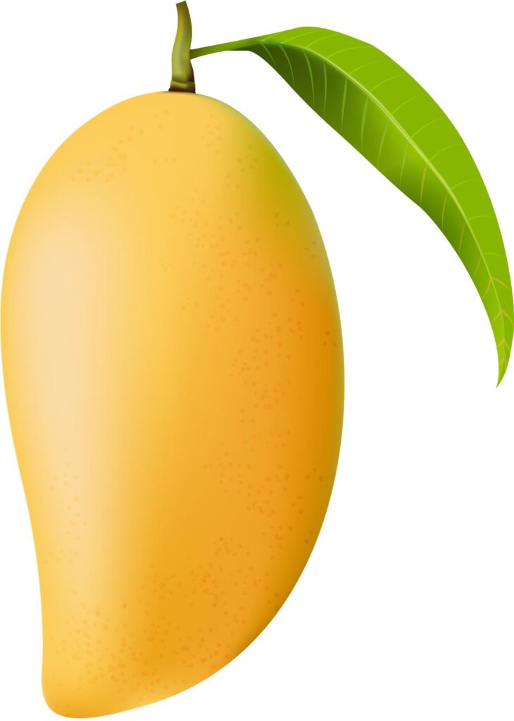 mango fruit image