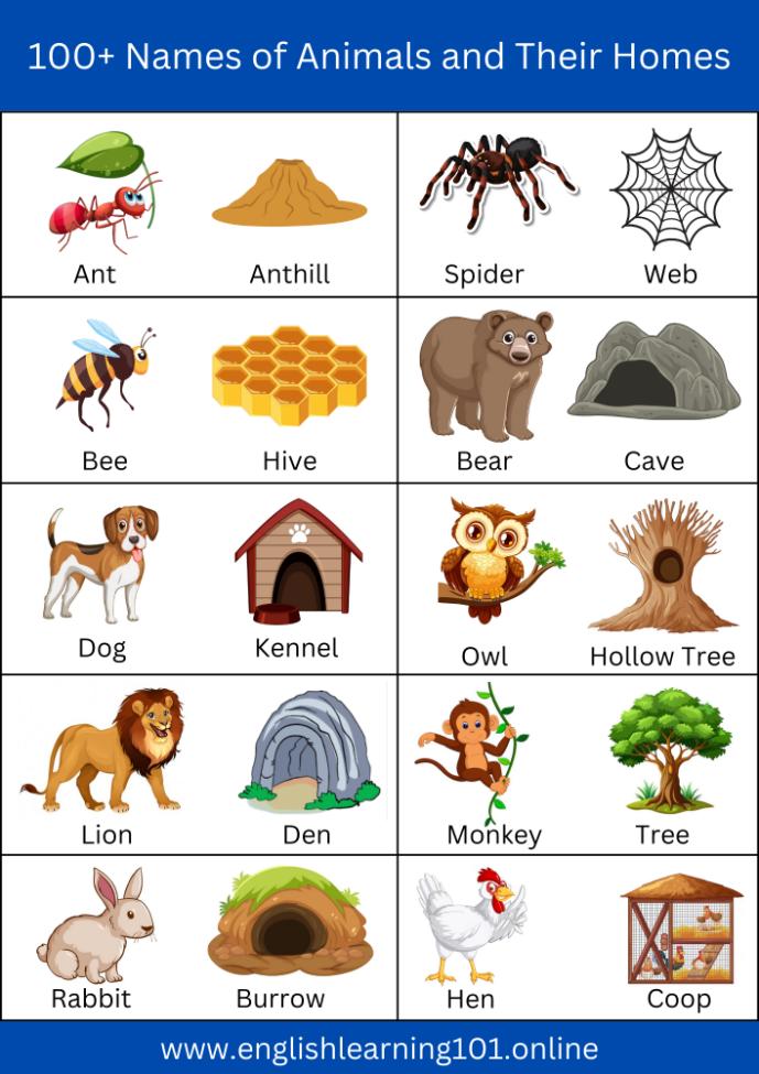 List of Animal Names in English with Their Homes